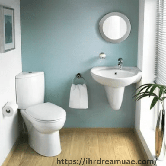 portable toilet cleaning services