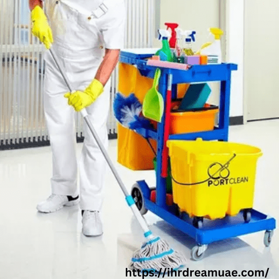 Professional Toilets Cleaning Services